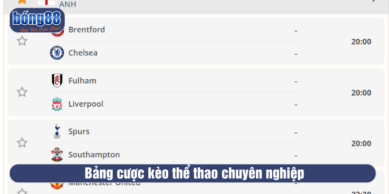 Bảng kèo thể thao chuyên nghiệp 