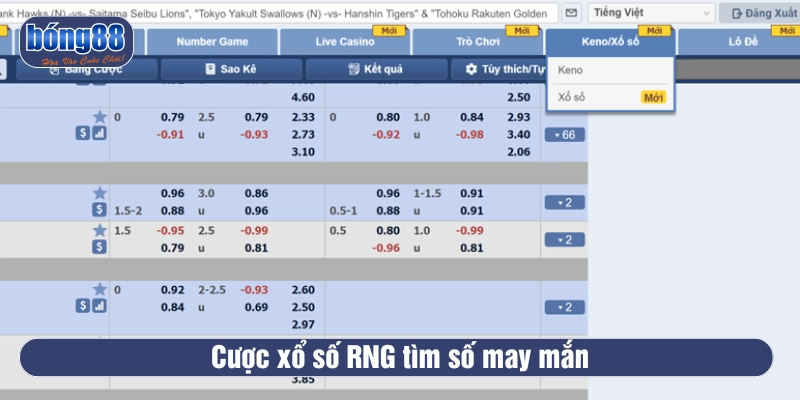 Đặt cược xổ số ngẫu nhiên RNG 