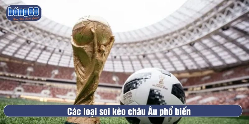 Các loại soi kèo châu Âu phổ biến 