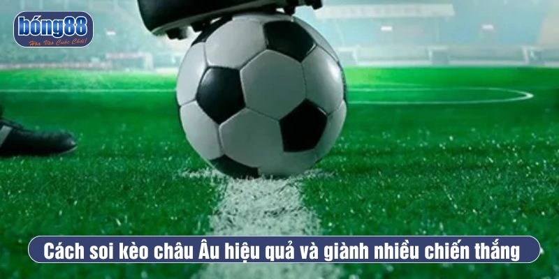 Cách soi kèo châu Âu giành nhiều chiến thắng 