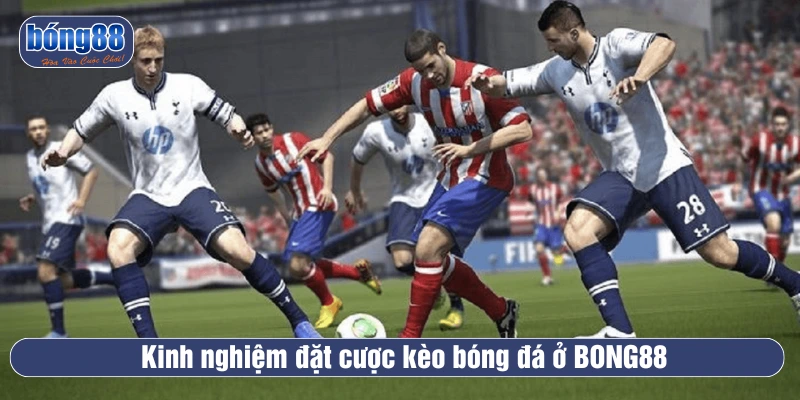 Kinh nghiệm giúp người chơi chiến thắng kèo thể thao ảo
