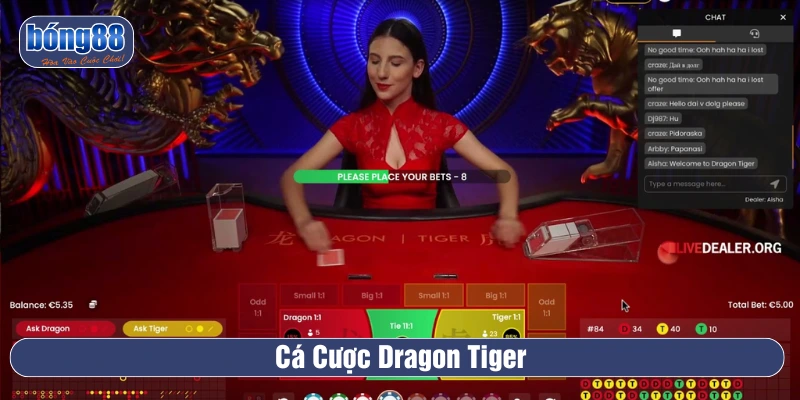 Cá cược thả ga tại live casino cùng game bài Dragon Tiger